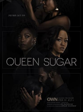 Queen Sugar - Seasons 1-7 (image for) Queen Sugar - Seasons 1-7